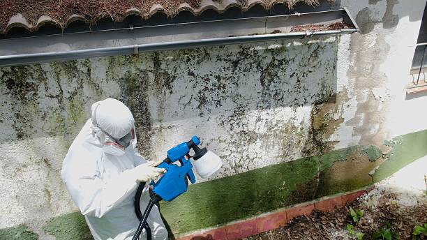 Trusted Mold Inspection service in Georgetown, PA - Cheap Mold Removal